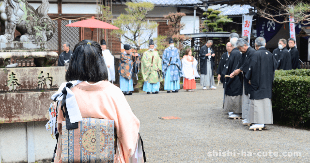 ポートフォリオ用画像